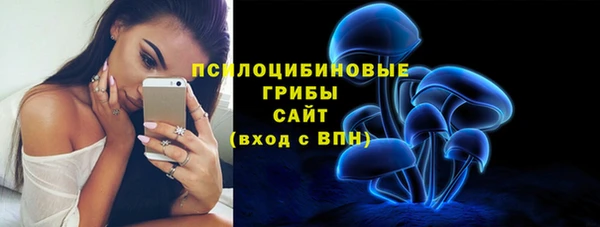 бошки Бугульма