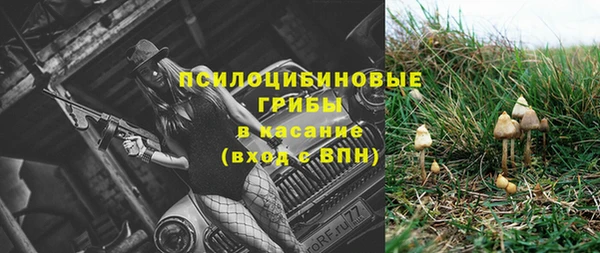 MDMA Бородино