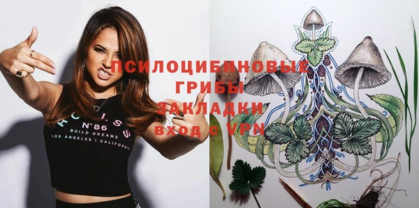 2c-b Бронницы