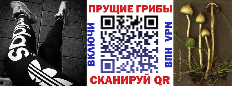 Псилоцибиновые грибы ЛСД  Кузнецк 